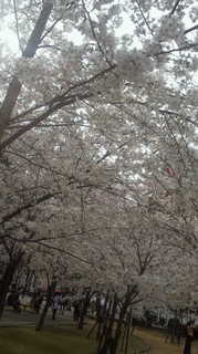 2013033015280000.jpg