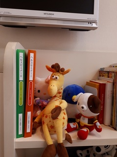 20180517_144915.jpg